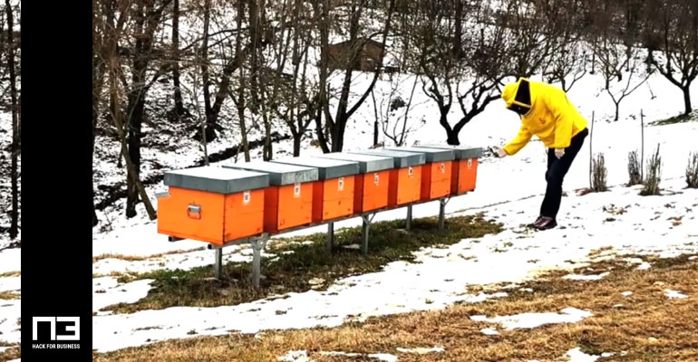 operazioni in apiario con ormabee smartphone