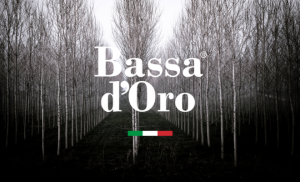 660x400-preview-blog